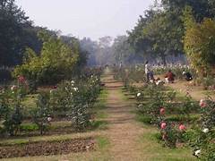 Rose Garden Family Tour